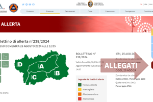 Nuova guida alla lettura dei bollettini